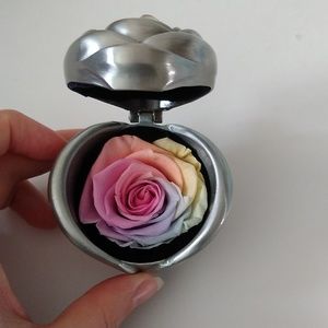 Rainbow forever rose in silver case